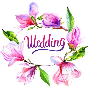 Kır çiçeği Manolya çiçek çerçeve izole bir suluboya tarzında.