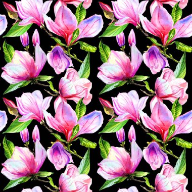 Kır çiçeği Manolya çiçek deseni izole bir suluboya tarzında.