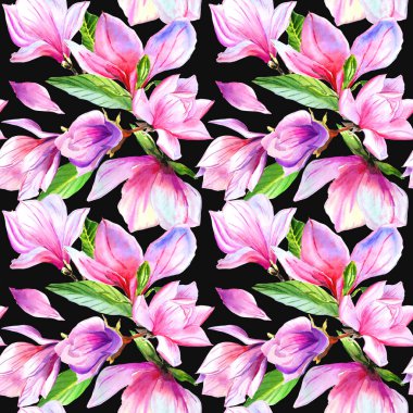 Kır çiçeği Manolya çiçek deseni izole bir suluboya tarzında.