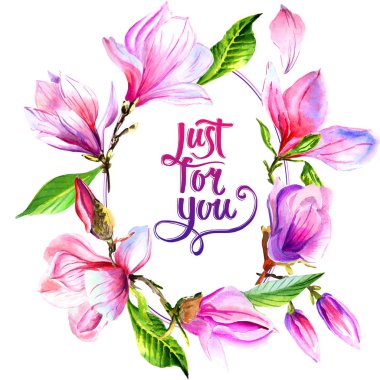 Kır çiçeği Manolya çiçek çerçeve izole bir suluboya tarzında.