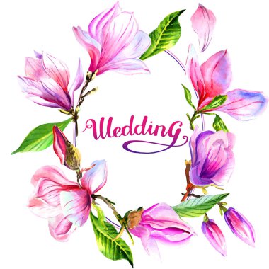 Kır çiçeği Manolya çiçek çerçeve izole bir suluboya tarzında.