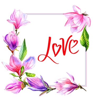 Kır çiçeği Manolya çiçek çerçeve izole bir suluboya tarzında.