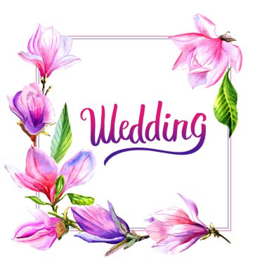 Kır çiçeği Manolya çiçek çerçeve izole bir suluboya tarzında.