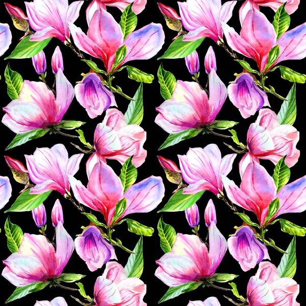 Modèle de fleur de magnolia de fleur sauvage dans un style aquarelle isolé . — Photo