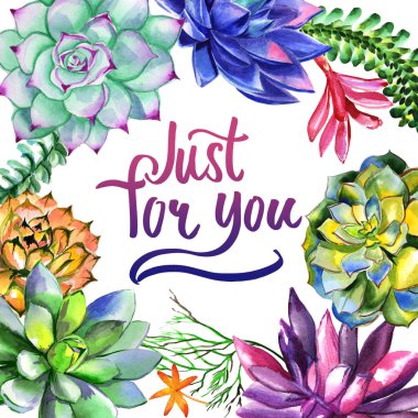 Kır çiçeği succulentus izole bir suluboya tarzında çerçeve çiçek.