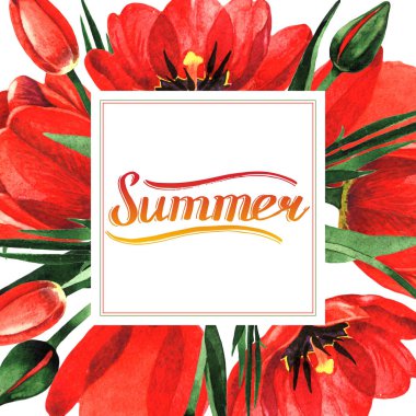 Kır çiçeği Lale çiçek çerçeve izole bir suluboya tarzında.