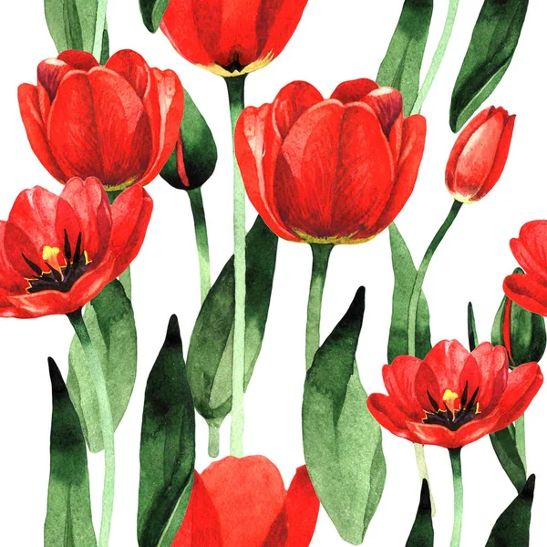 Patrón de flor de tulipán silvestre en un estilo de acuarela aislado . — Foto de Stock