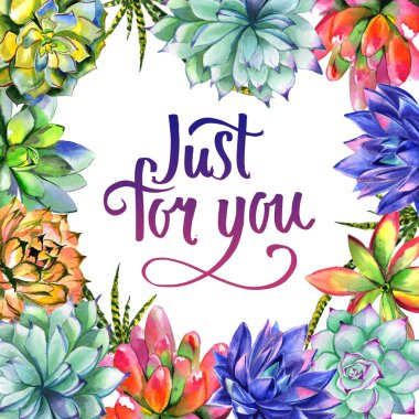 Kır çiçeği succulentus izole bir suluboya tarzında çerçeve çiçek.