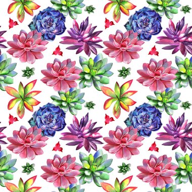 Kır çiçeği succulentus çiçek deseni izole bir suluboya tarzında.