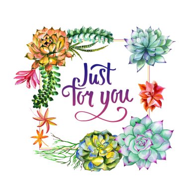 Kır çiçeği succulentus izole bir suluboya tarzında çerçeve çiçek.