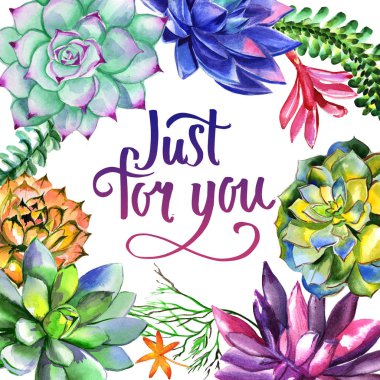 Kır çiçeği succulentus izole bir suluboya tarzında çerçeve çiçek.