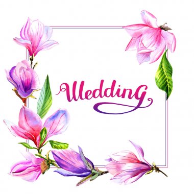 Kır çiçeği Manolya çiçek çerçeve izole bir suluboya tarzında.