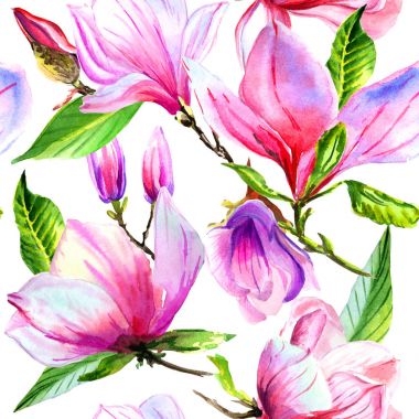 Kır çiçeği Manolya çiçek deseni izole bir suluboya tarzında.