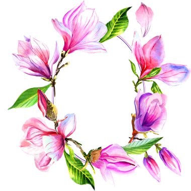 Kır çiçeği Manolya çiçek çerçeve izole bir suluboya tarzında.