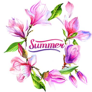 Kır çiçeği Manolya çiçek çerçeve izole bir suluboya tarzında.