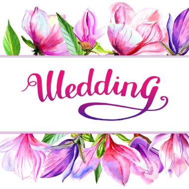 Kır çiçeği Manolya çiçek çerçeve izole bir suluboya tarzında.