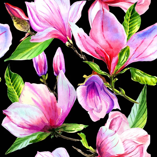 Wildflower magnolia λουλούδι μοτίβο σε στυλ υδροχρώματος απομονωμένες. — Φωτογραφία Αρχείου
