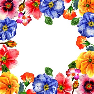 Kır çiçeği çuha çiçeği çiçek çerçeve izole bir suluboya tarzında.