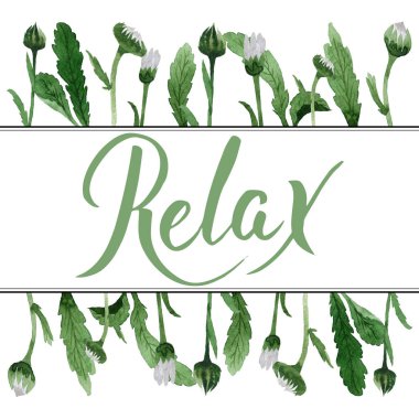 Kır çiçeği papatya çiçek çerçeve izole bir suluboya tarzında.