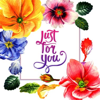 Kır çiçeği çuha çiçeği çiçek çerçeve izole bir suluboya tarzında.