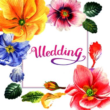 Kır çiçeği çuha çiçeği çiçek çerçeve izole bir suluboya tarzında.