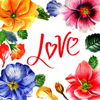 Kır çiçeği çuha çiçeği çiçek çerçeve izole bir suluboya tarzında.