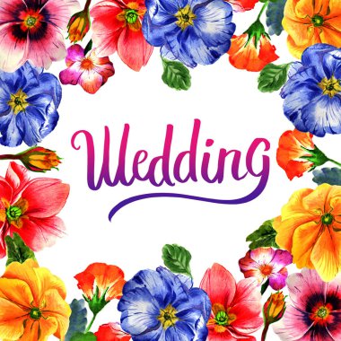 Kır çiçeği çuha çiçeği çiçek çerçeve izole bir suluboya tarzında.