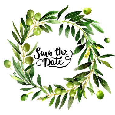 Zeytin ağacı çelenk izole bir suluboya tarzında.