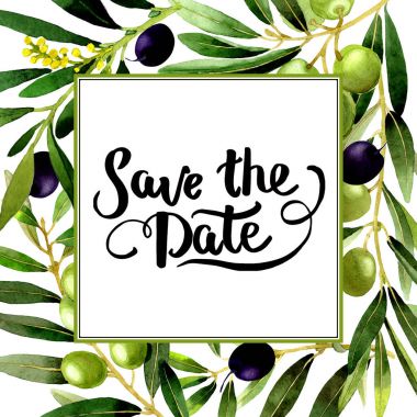 Zeytin ağacı çerçeve izole bir suluboya tarzında.