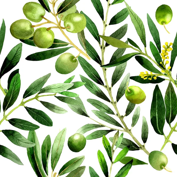 Olive tree patroon in een aquarel stijl geïsoleerd. — Stockfoto