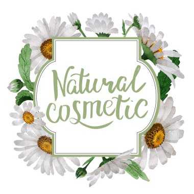 Kır çiçeği papatya çiçek çerçeve izole bir suluboya tarzında.