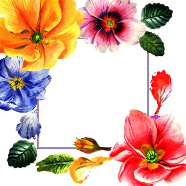 Kır çiçeği çuha çiçeği çiçek çerçeve izole bir suluboya tarzında.