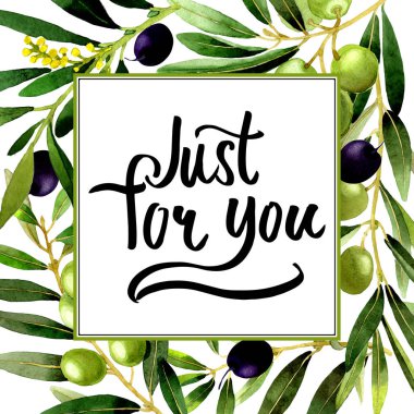 Zeytin ağacı çerçeve izole bir suluboya tarzında.