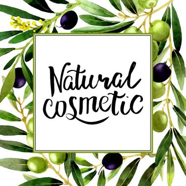 Zeytin ağacı çerçeve izole bir suluboya tarzında.