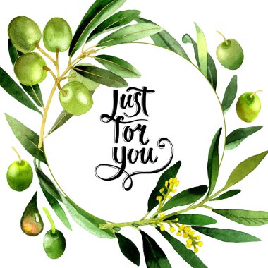 Zeytin ağacı çelenk izole bir suluboya tarzında.