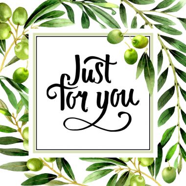 Zeytin ağacı çerçeve izole bir suluboya tarzında.