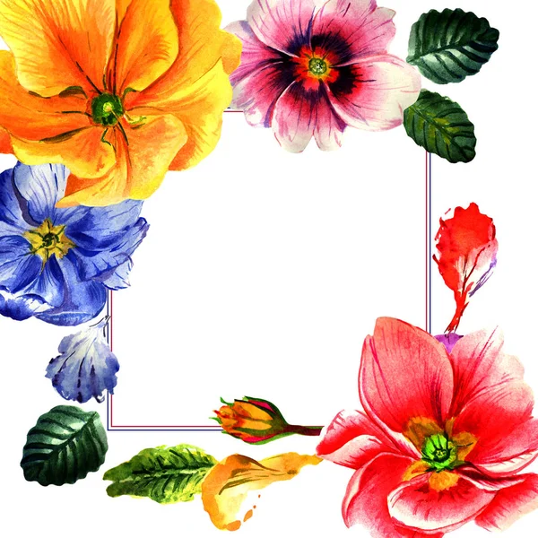 Vadvirág primula virág keret elszigetelt akvarell stílusú. — Stock Fotó