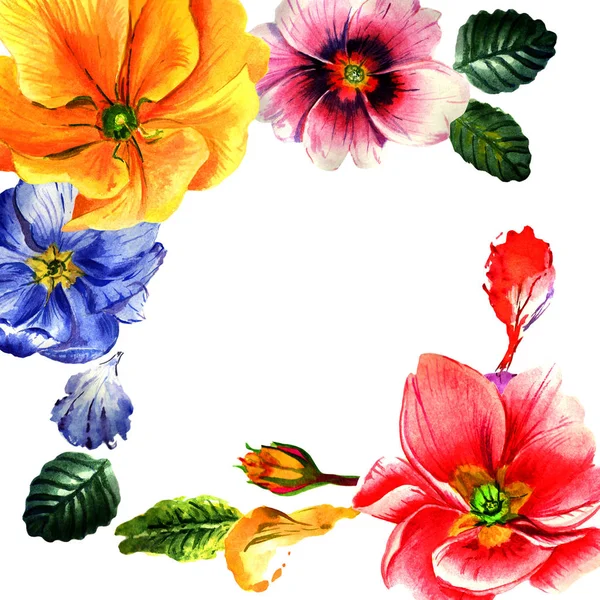 Wildblumen Primeln Blumenrahmen in einem Aquarell-Stil isoliert. — Stockfoto