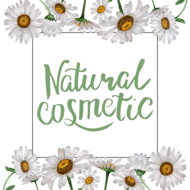 Kır çiçeği papatya çiçek çerçeve izole bir suluboya tarzında.