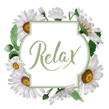 Kır çiçeği papatya çiçek çerçeve izole bir suluboya tarzında.