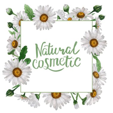 Kır çiçeği papatya çiçek çerçeve izole bir suluboya tarzında.