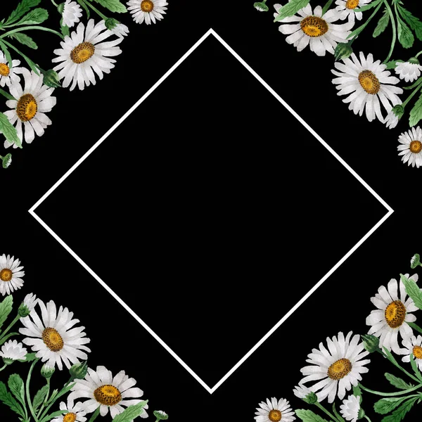Wildblume Kamille Blume Rahmen in einem Aquarell-Stil isoliert. — Stockfoto