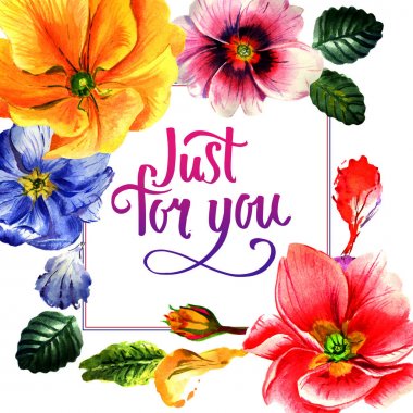 Kır çiçeği çuha çiçeği çiçek çerçeve izole bir suluboya tarzında.