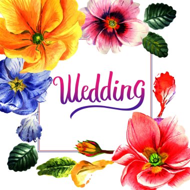 Kır çiçeği çuha çiçeği çiçek çerçeve izole bir suluboya tarzında.