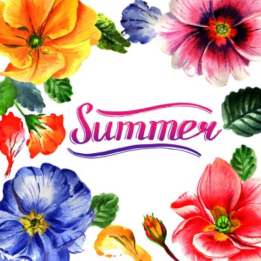 Kır çiçeği çuha çiçeği çiçek çerçeve izole bir suluboya tarzında.