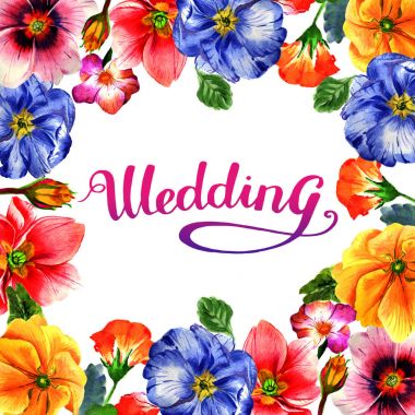 Kır çiçeği çuha çiçeği çiçek çerçeve izole bir suluboya tarzında.