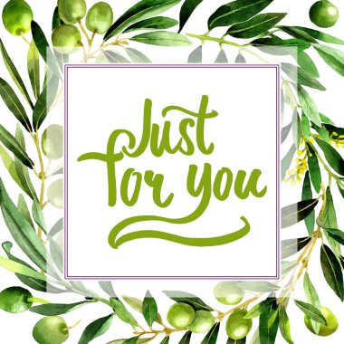 Zeytin ağacı çerçeve izole bir suluboya tarzında.