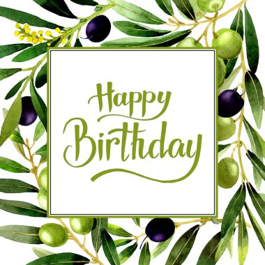 Zeytin ağacı çerçeve izole bir suluboya tarzında.