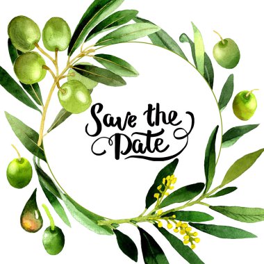 Zeytin ağacı çelenk izole bir suluboya tarzında.