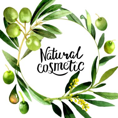 Zeytin ağacı çelenk izole bir suluboya tarzında.